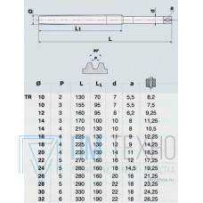 Метчик TR18,0 х 2,0  м/р.Р6М5 для трапецеидальной резьбы