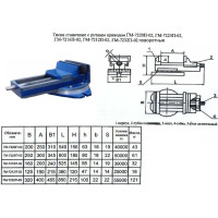 Тиски Станочные 250мм чугунные поворотные ГМ-7225П-02 (Гомель)