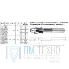 Цековка D 20,0 х d11,0 х100 ц/х Р6АМ5 с постоянной направляющей цапфой, dхв 12.5мм 